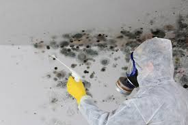 Asbestos and Lead Testing During Mold Inspection in Sloan, IA